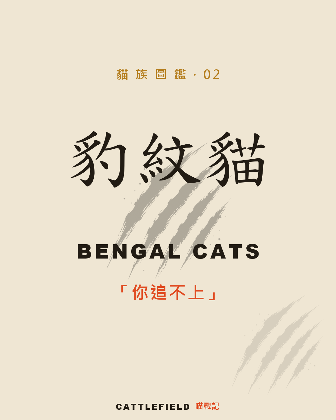 豹紋貓圖鑑